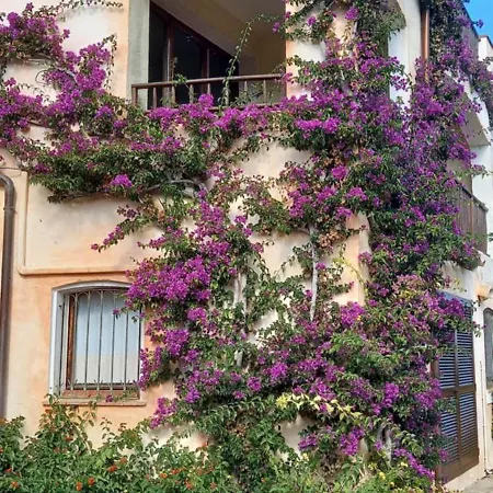 Aparthotel Residenza Chrysalis Bay Porto Cervo